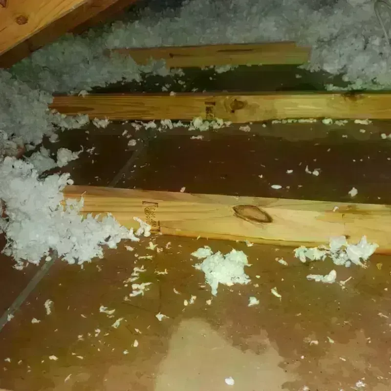 Attic Water Damage in Summit, AZ