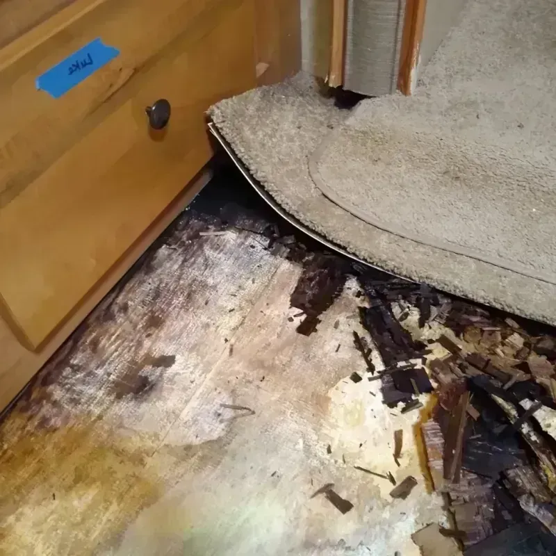 Wood Floor Water Damage in Summit, AZ